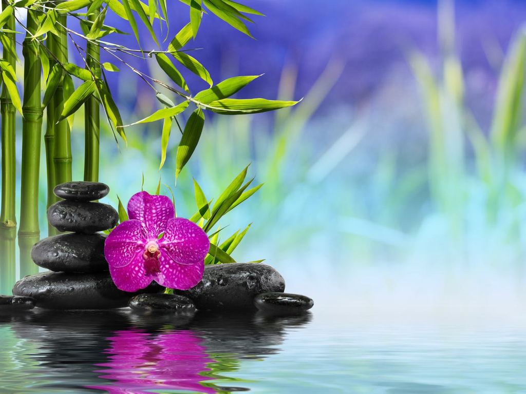 The Royal Ocean Breeze Escape treatment at Ocean Breeze Spa | Naples, FL in Naples, Florida